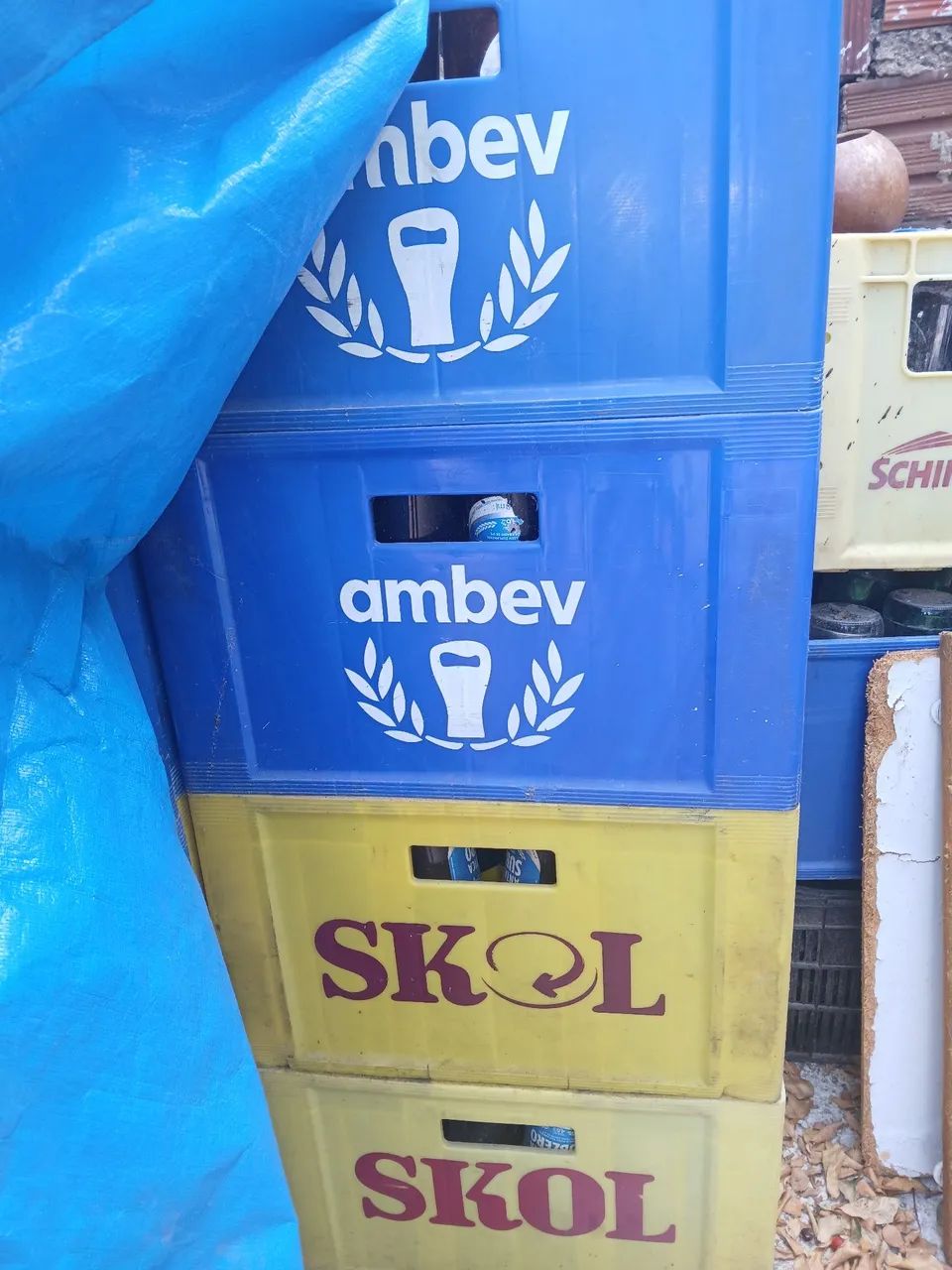 Caixas de cervejas 300 ml