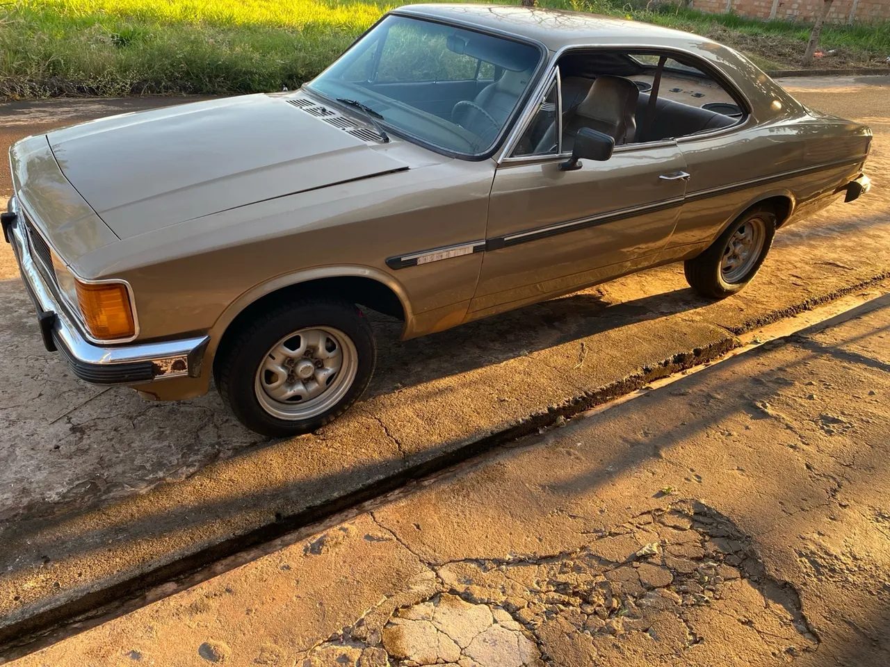 Opala
