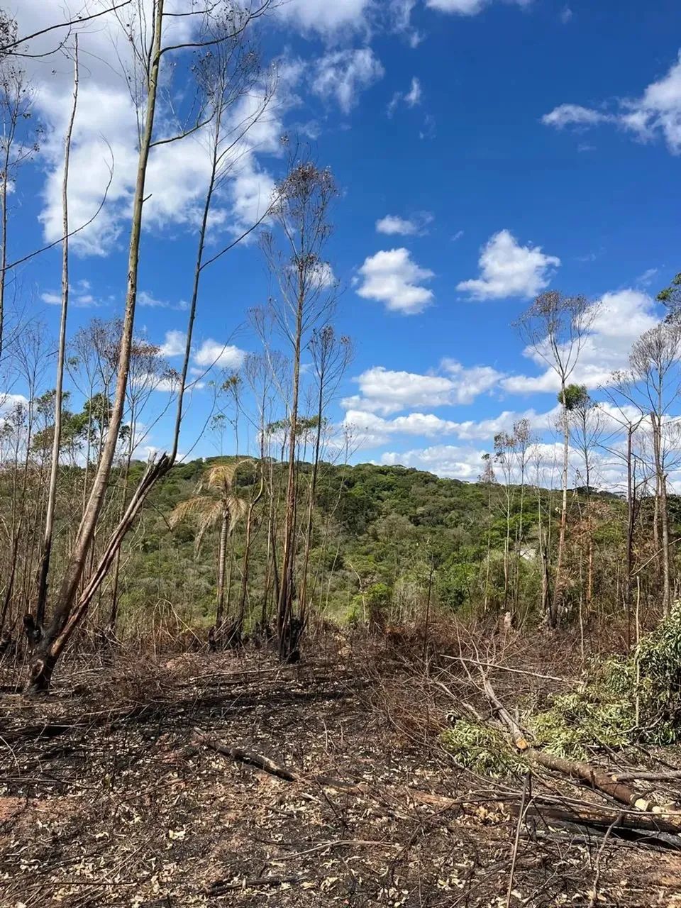 R$ 57.900: Seu Sonho de 1000m² em Ibiúna Começa Agora! - Foto 2