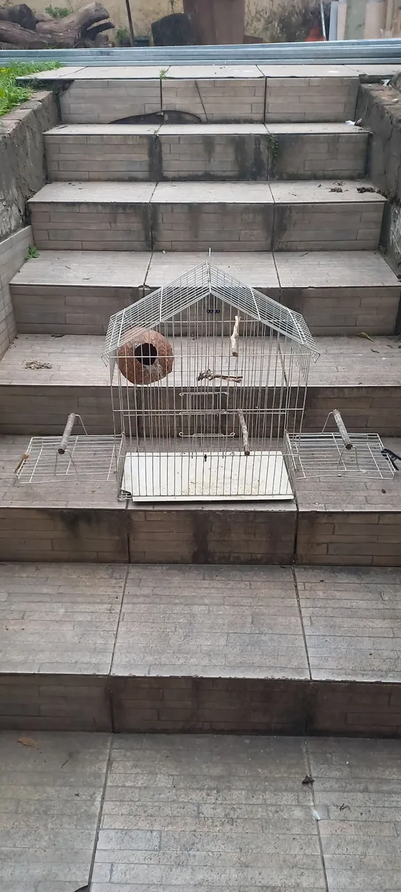 Gaiola para pássaros