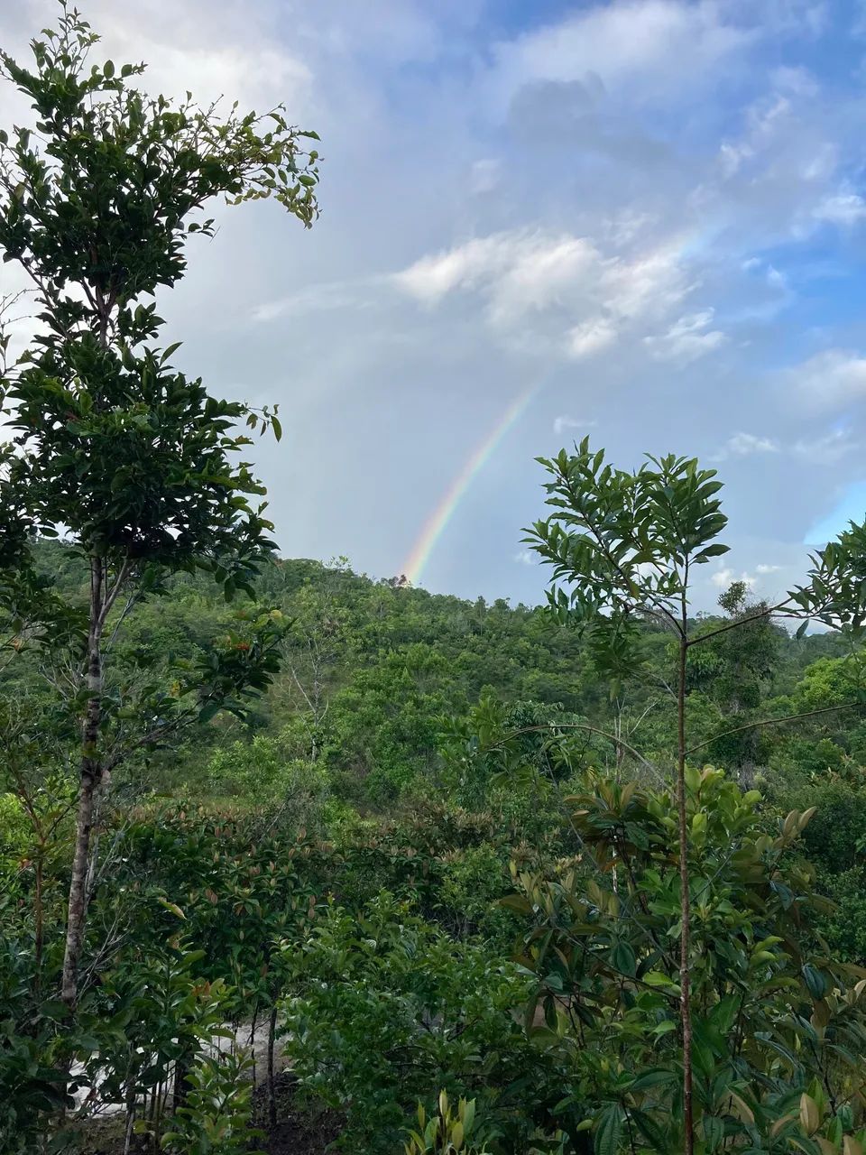 Fazenda Alto da Serra - Foto 5
