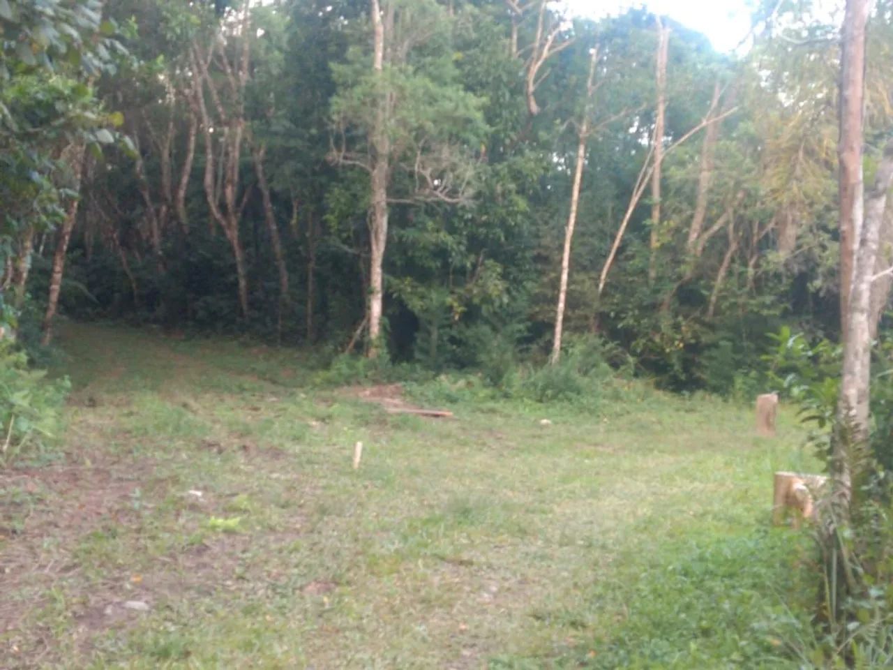 Terreno com área verde em local tranquilo - Foto 3