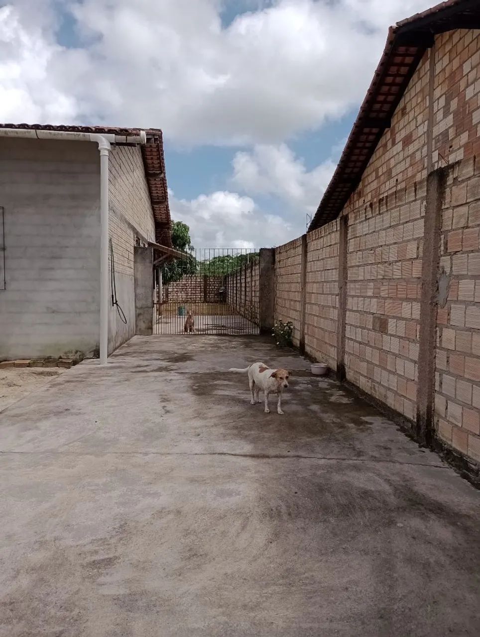 Foto - Ourém - 
