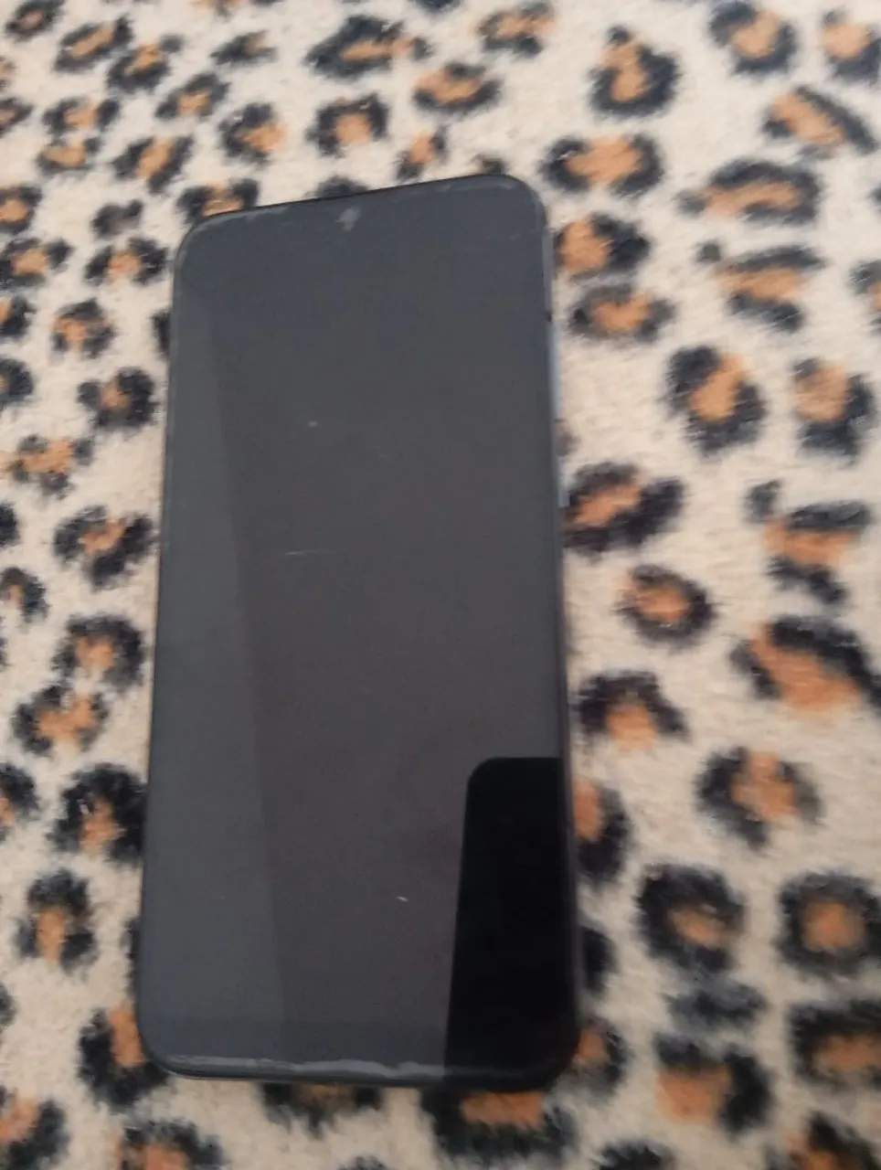 celular todo bom