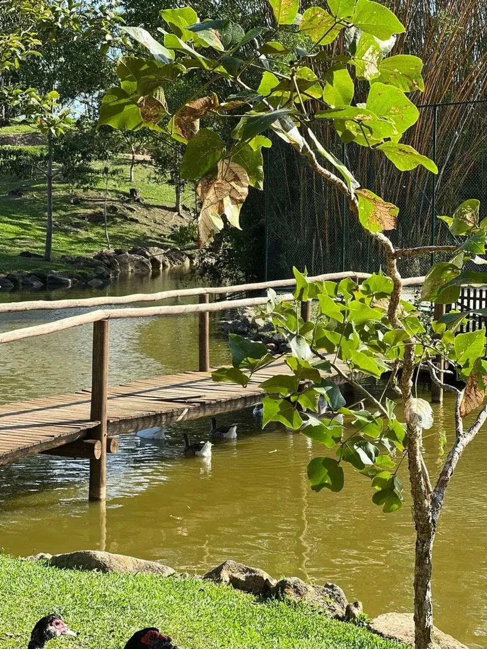 Lotes, terreno à venda em Santo Amaro da Imperatriz - SC