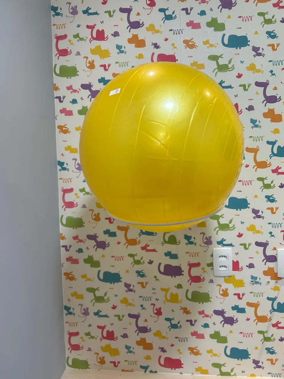 Bola de Pilates Amarela e verde (2)