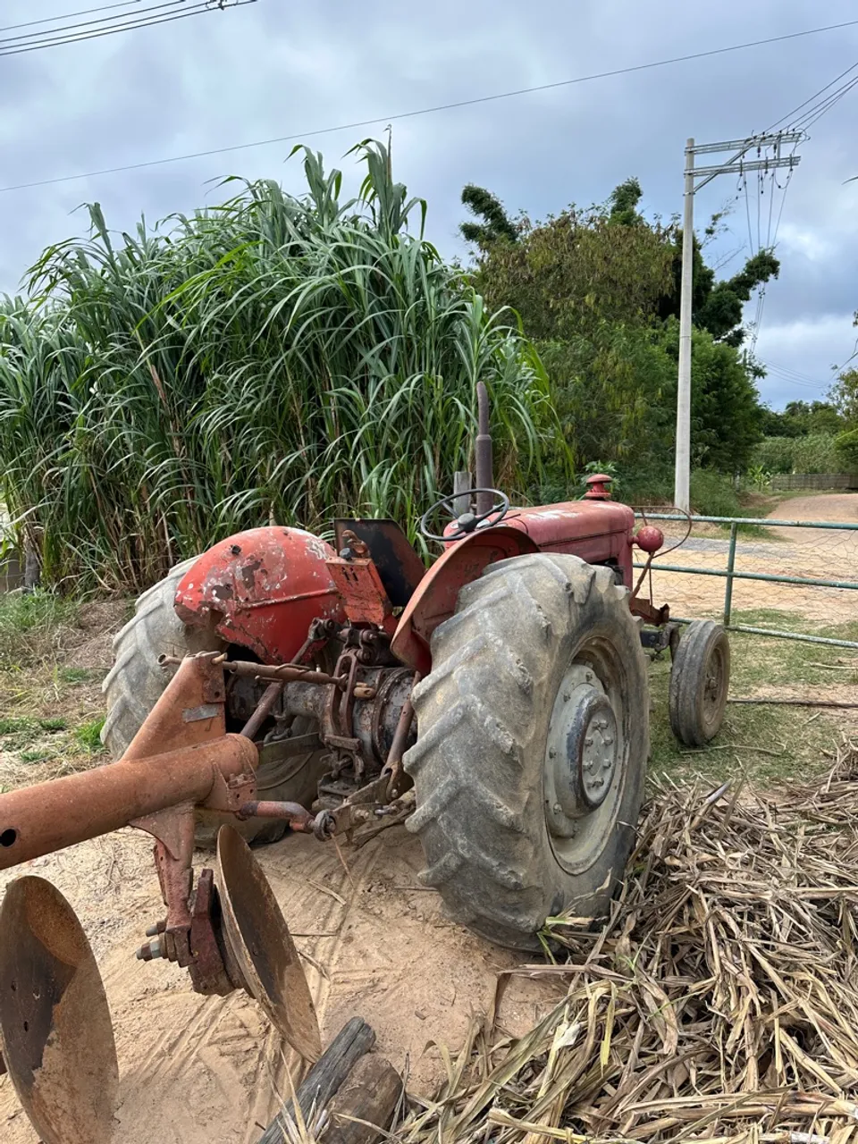 Trator Massey Ferguson 65X + Picadeira e arado.