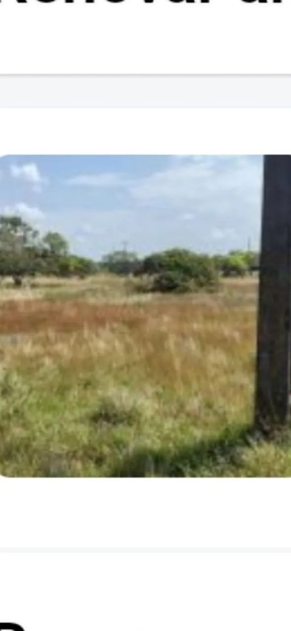 Vendo terreno chácara em Lucena  - Foto 2