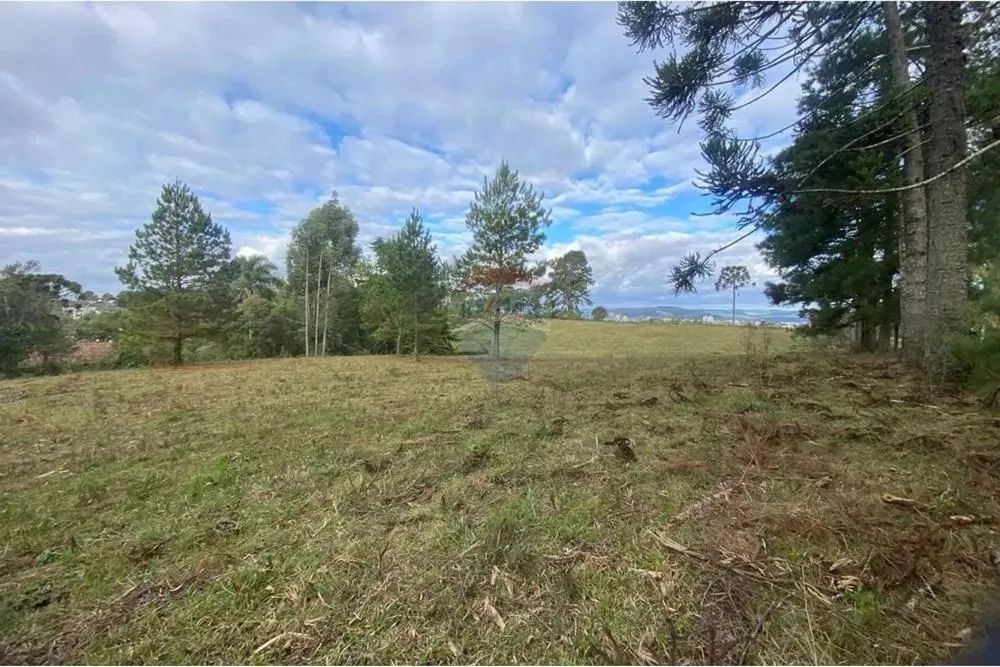 "Terreno Amplo e Tranquilo Perto do Centro"