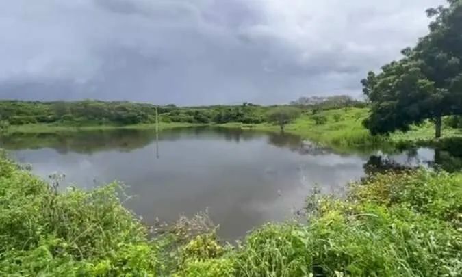 Fazenda  El Shadday ( São Luiz) - Foto 5