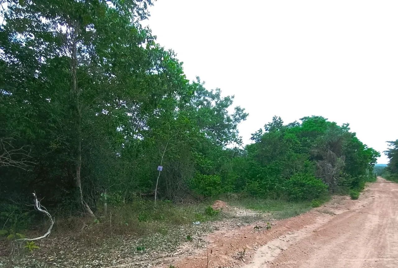 Venda de Terreno  - Foto 5