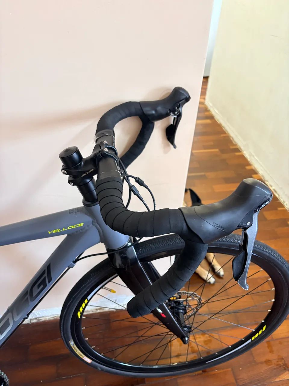 Bicicleta Oggi velloce - Foto 2