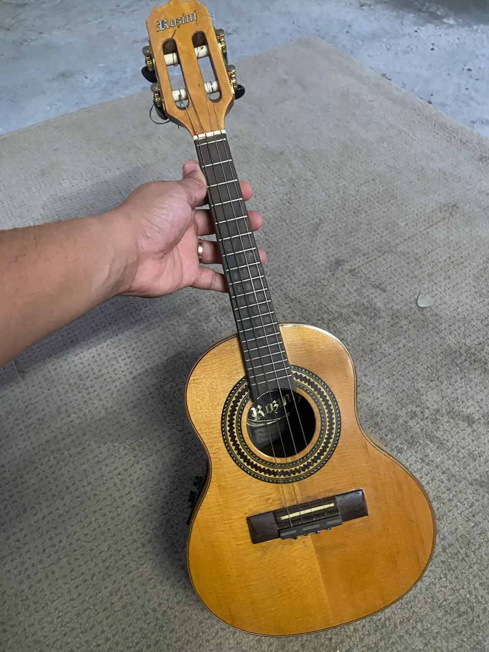 Cavaquinho Tgc01 Terra Brasil - Instrumentos musicais - Vila
