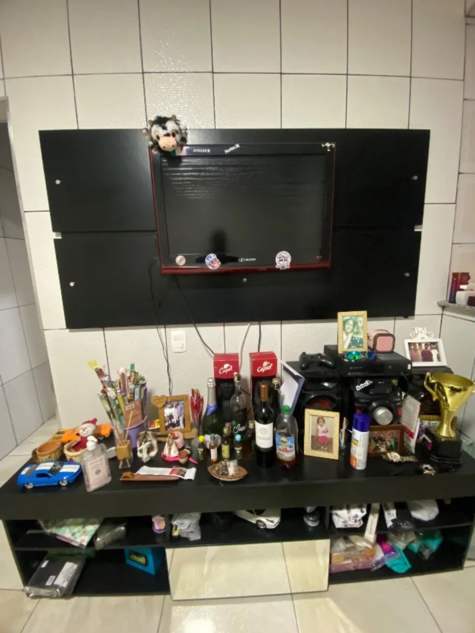 Living Room Panel and Rack