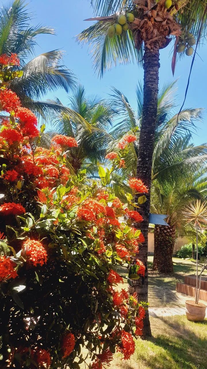 Casa na praia de Tucuns em Buzios  - Foto 8