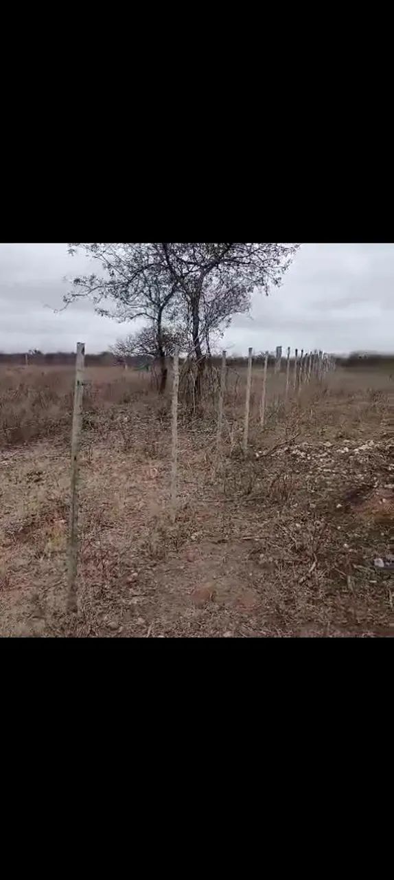 Vendo terreno pra chacra - Foto 4