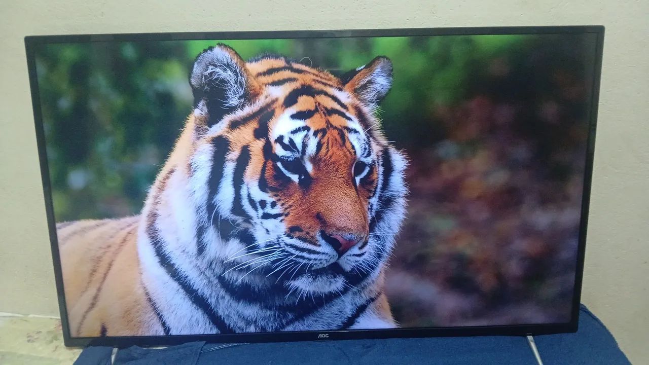 Vendo tv aoc 50 polegadas smart valor 450 pra vim buscar WhatsApp *87 - Foto 4