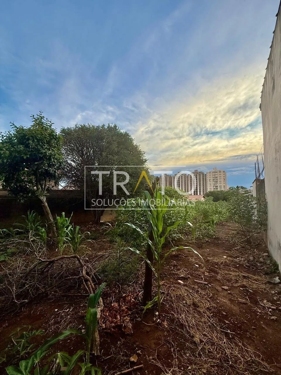 terreno - Cidade Jardim - Campinas - Foto 4