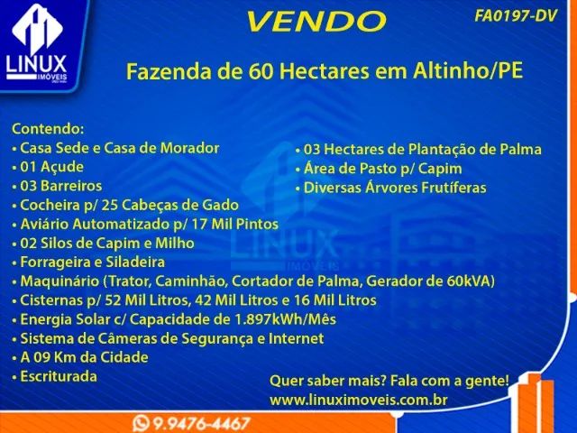Fazenda em Altinho/PE à Venda (FA0197-DV) - Foto 2
