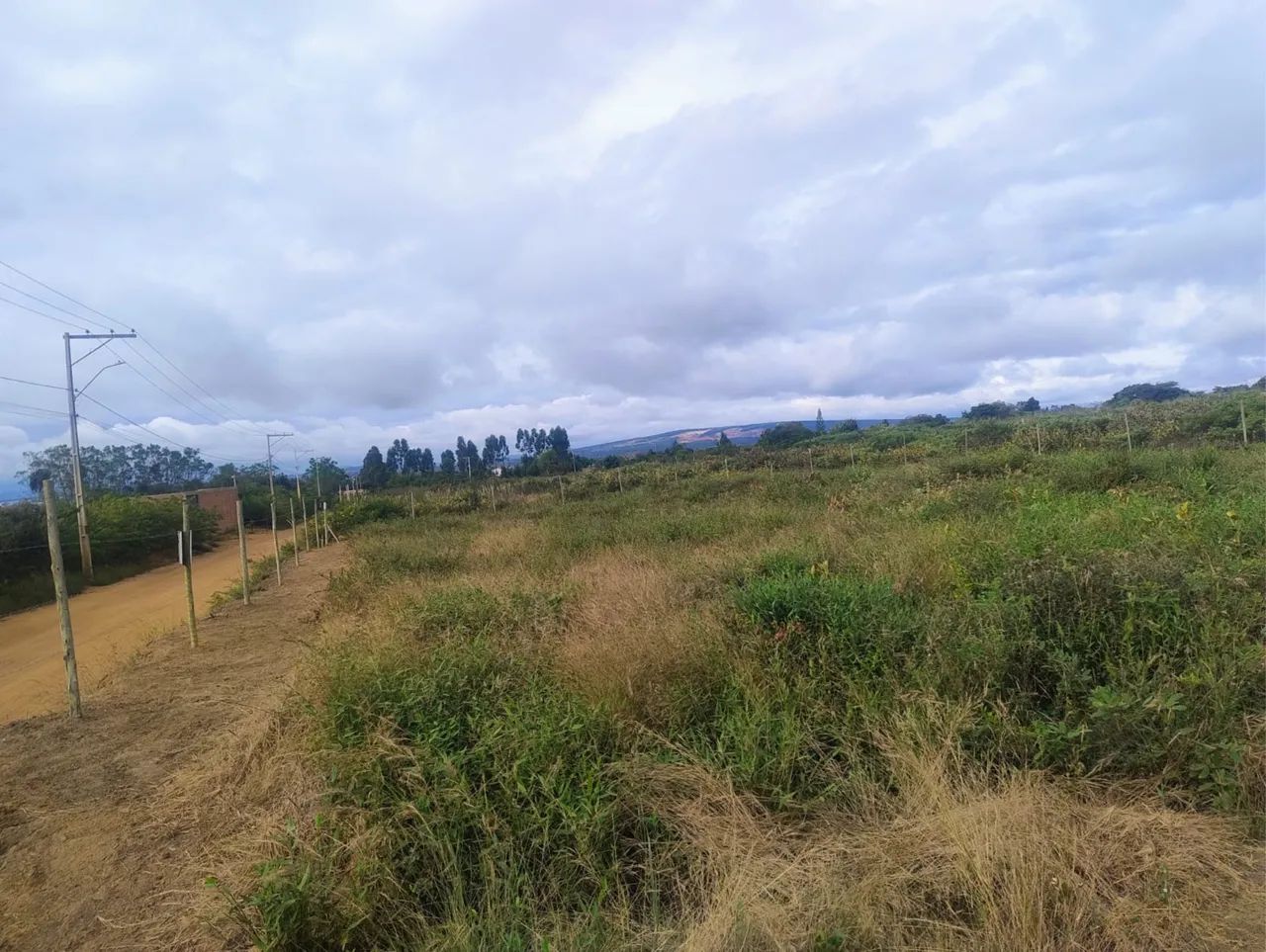Terreno Barato? - Foto 5