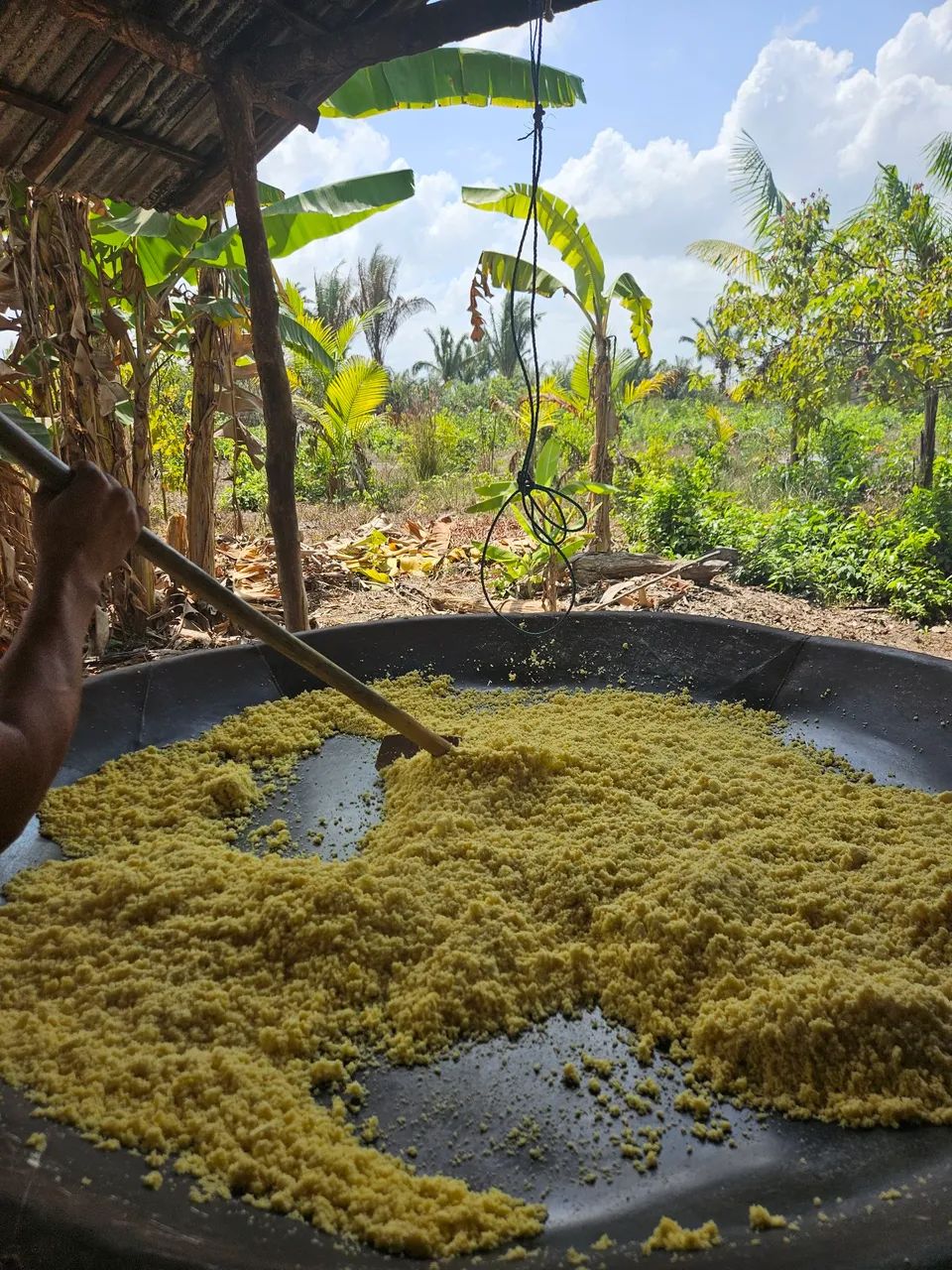 FARINHA DE BRAGANÇA 100% ORIGINAL SEM MISTURAS E SEM CONSERVANTES - Foto 2