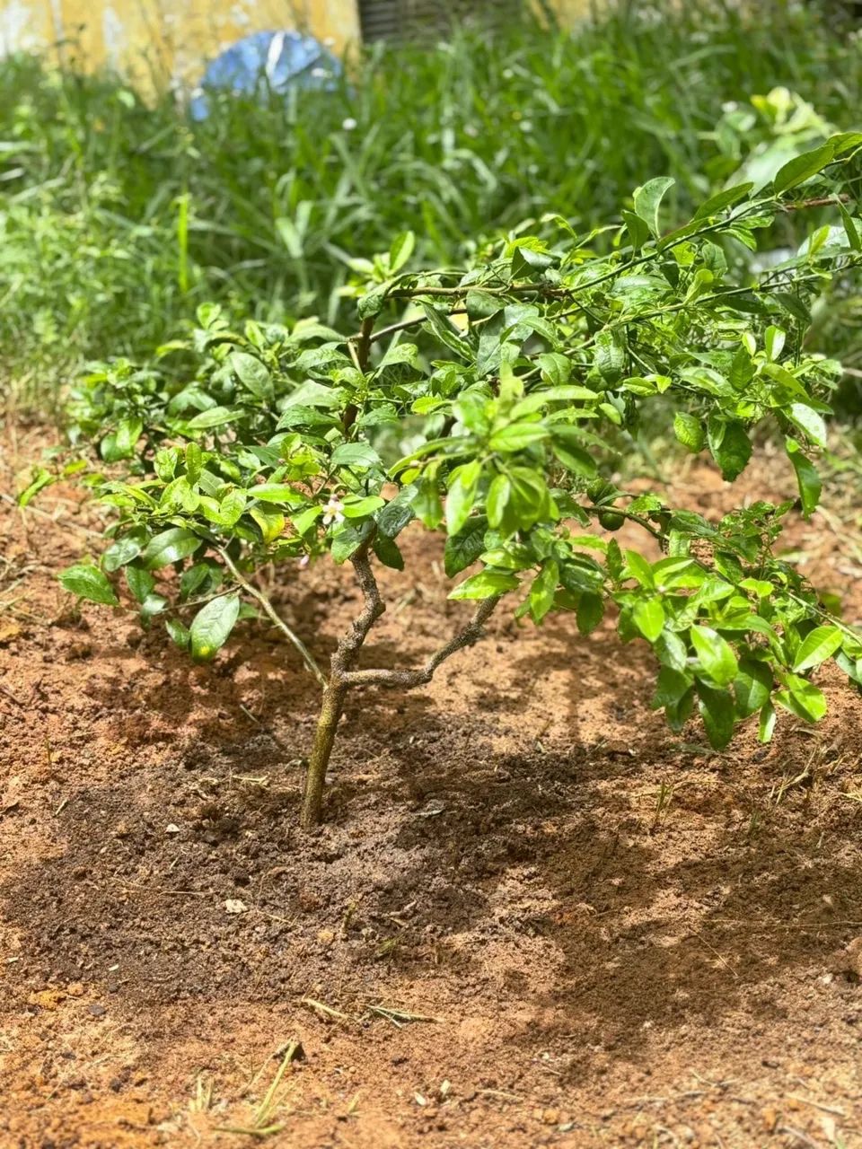 TERRENO À VENDA - RESERVA ITÁLIA | IBIÚNA/SP - Foto 3