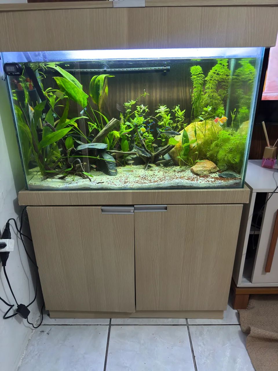 Aquário  - Foto 2