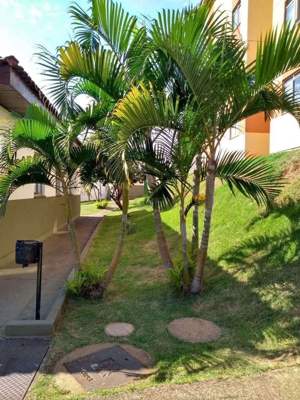 Apartamento Res. Guilherme Viscardi! - Foto 3