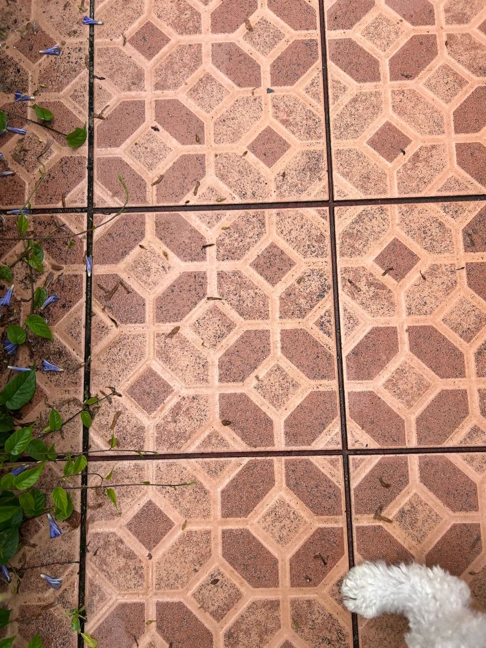 OLD FLOORING