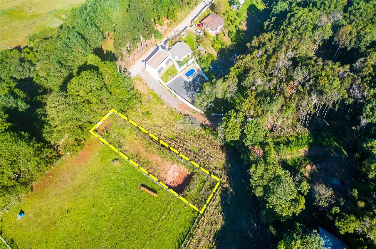 Vendas Terreno Balsa Nova PR - Foto 3