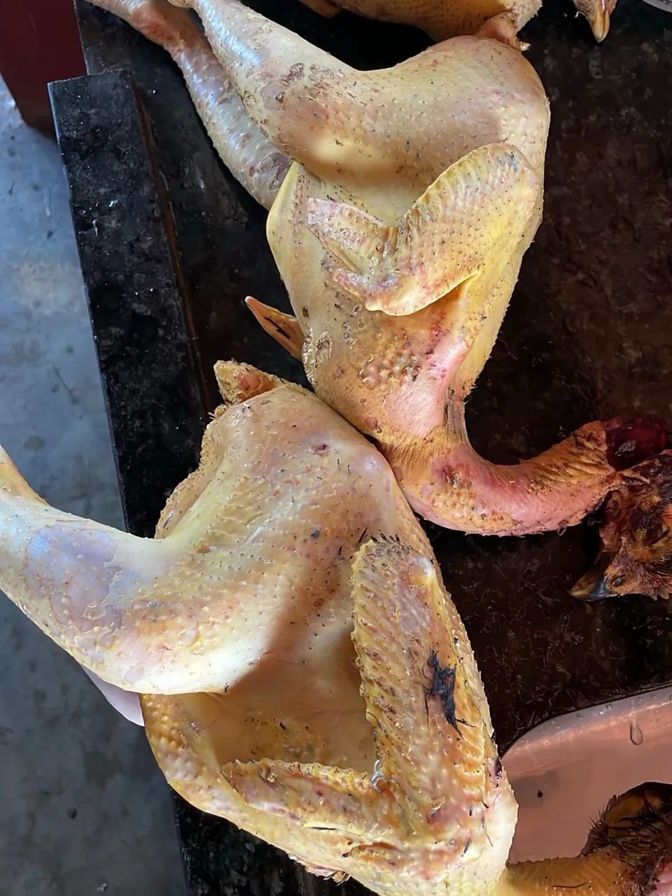 Frango e galinha caipira  - Foto 3