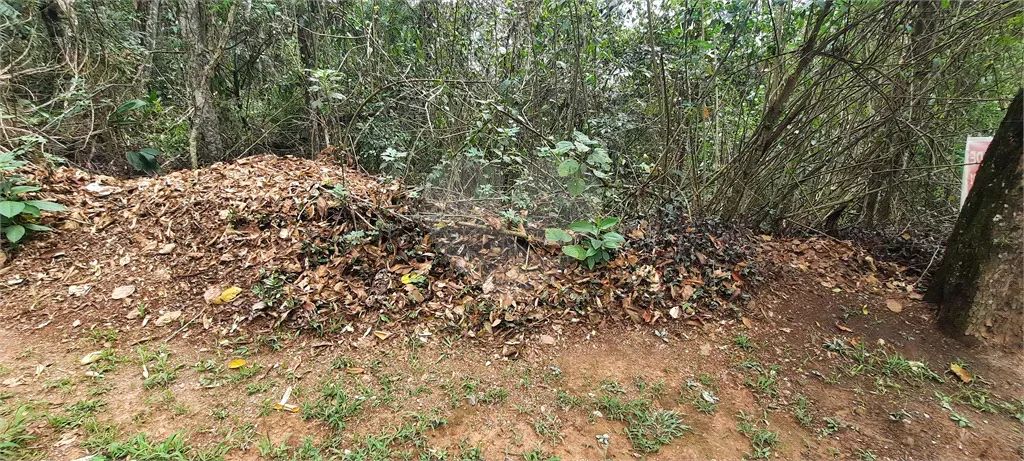 Terreno à venda em Barreiro - SP - Foto 2