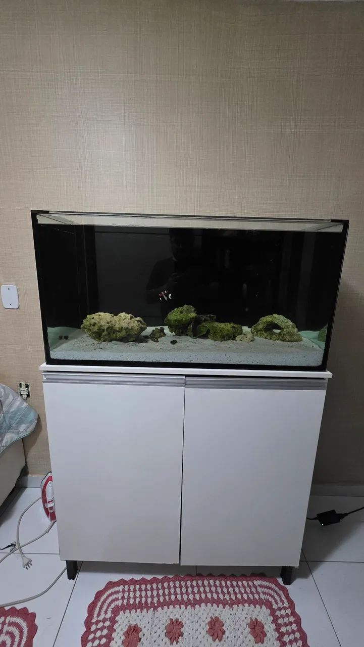 Aquário Marinho 250L Completo 