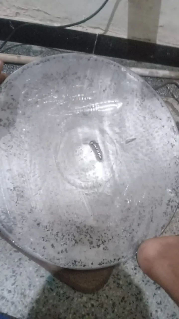 Tacho de arado. Tem conversa! - Foto 2