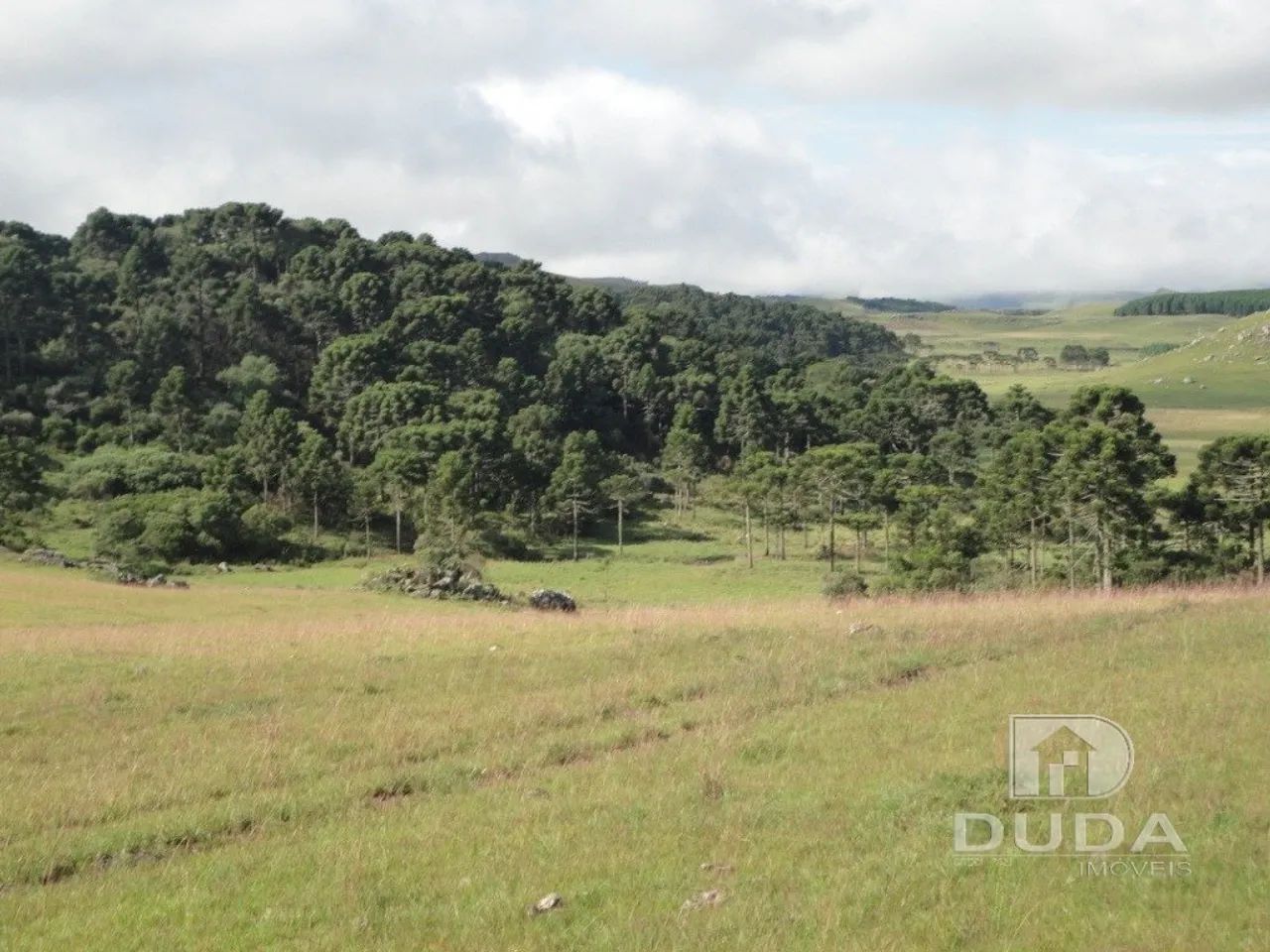 Terreno Rural em Bom Jardim da Serra - Foto 4