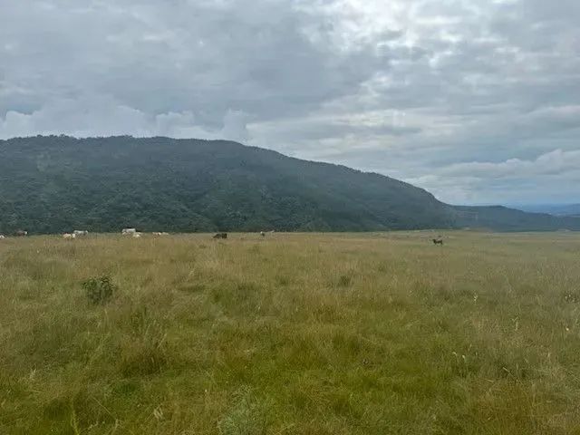 Área a venda em Bocaina do Sul com - Foto 2
