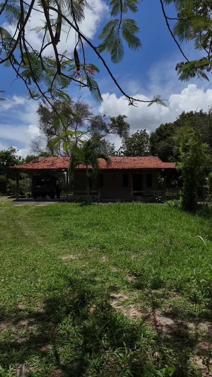 granja com 5 hectares na melhor região de Monte Alegre - Foto 5