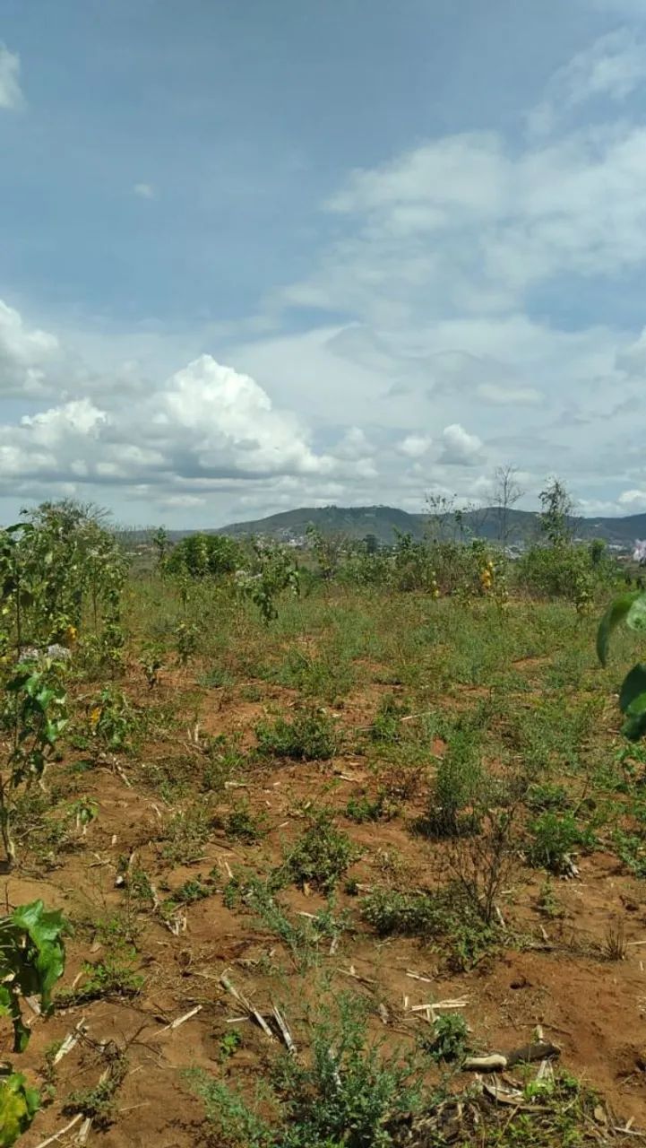 Oportunidade! Terreno à venda em Palmeira dos Índios_Alagoas - Foto 3