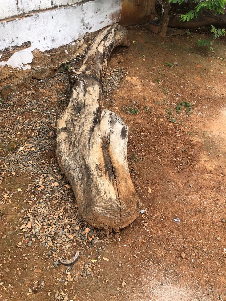 Wood Log Donation65581379307394121