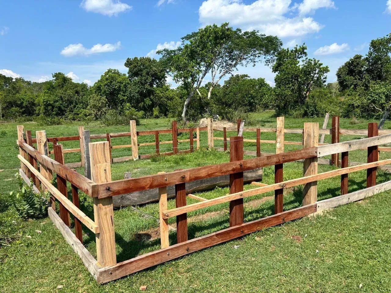 Fazenda Poconé - Foto 4