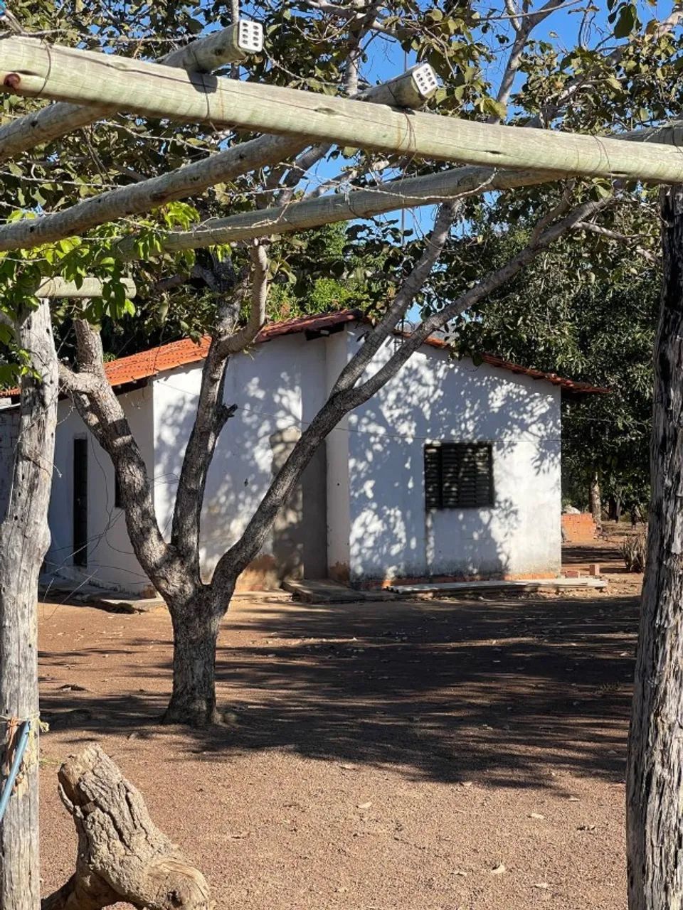 Sítio 30 Hectares Formado - Casa Ampla, Curral, Tanques de Peixe e Ótimo Acesso - Foto 4