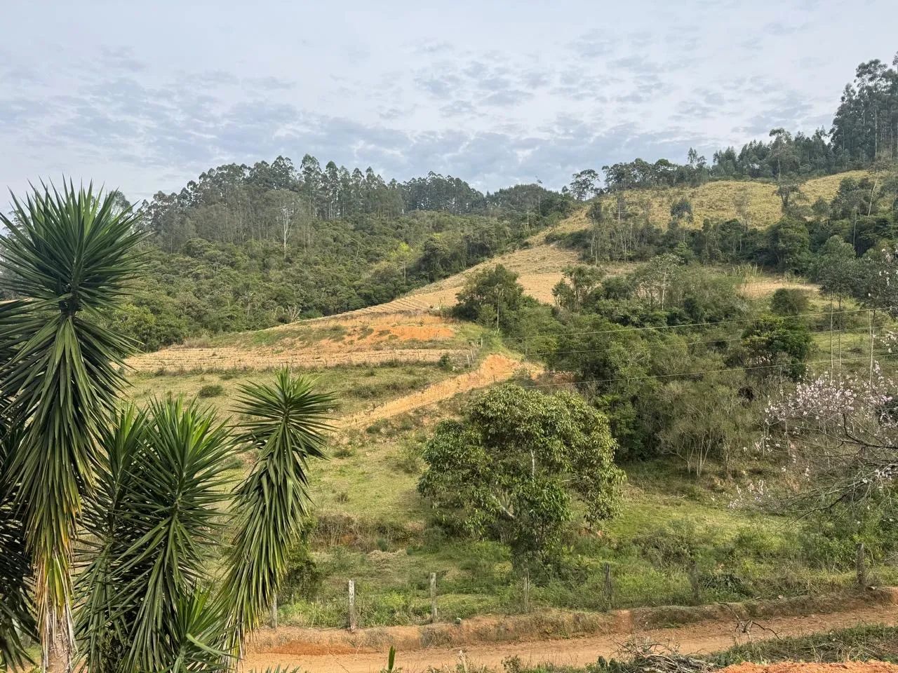 Terreno rural 5,6 hectares  - Foto 3