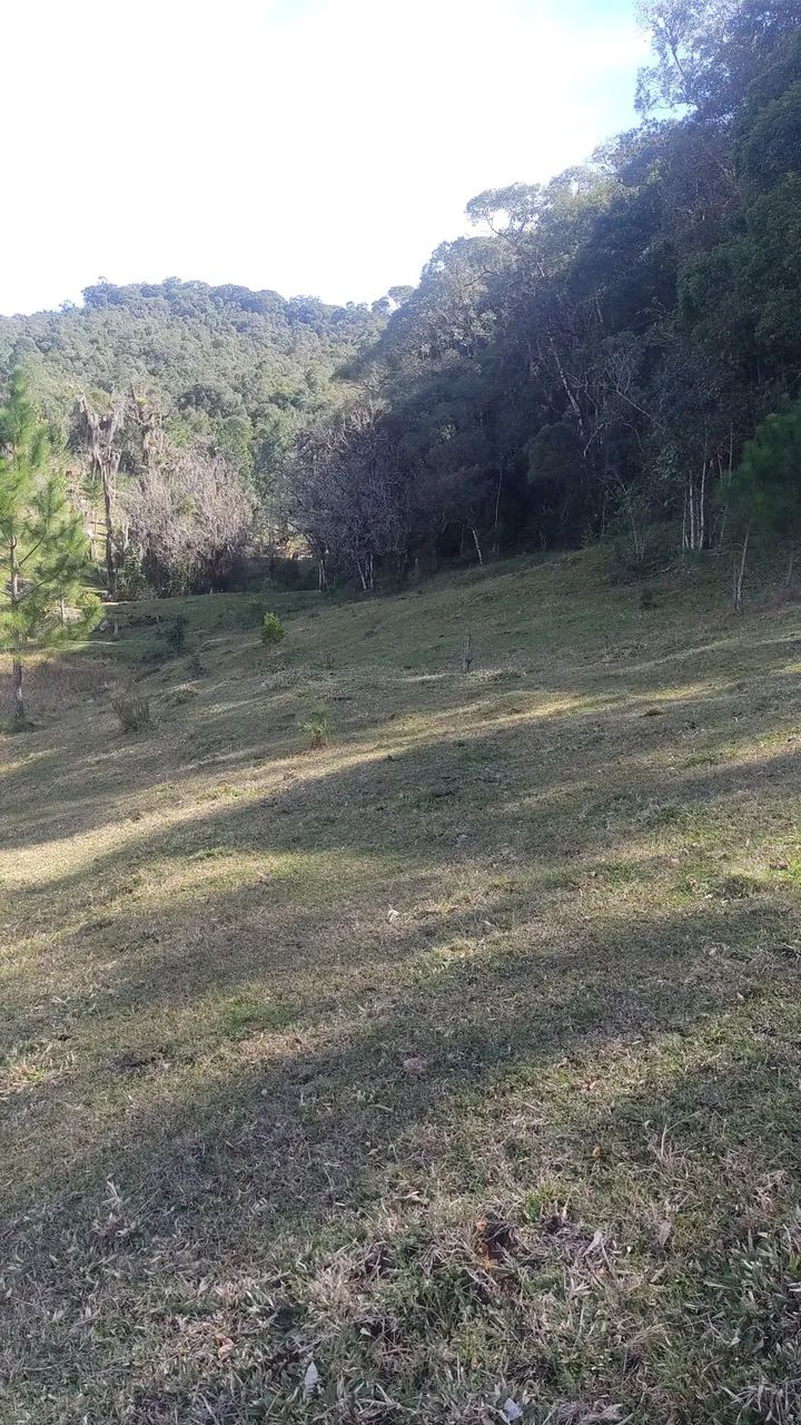 Terreno plano 2 ectares, muita água 