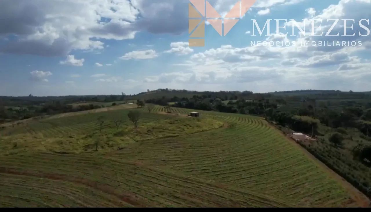 SÍTIO À VENDA EXCELENTE OPORTUNIDADE RURAL - Foto 5