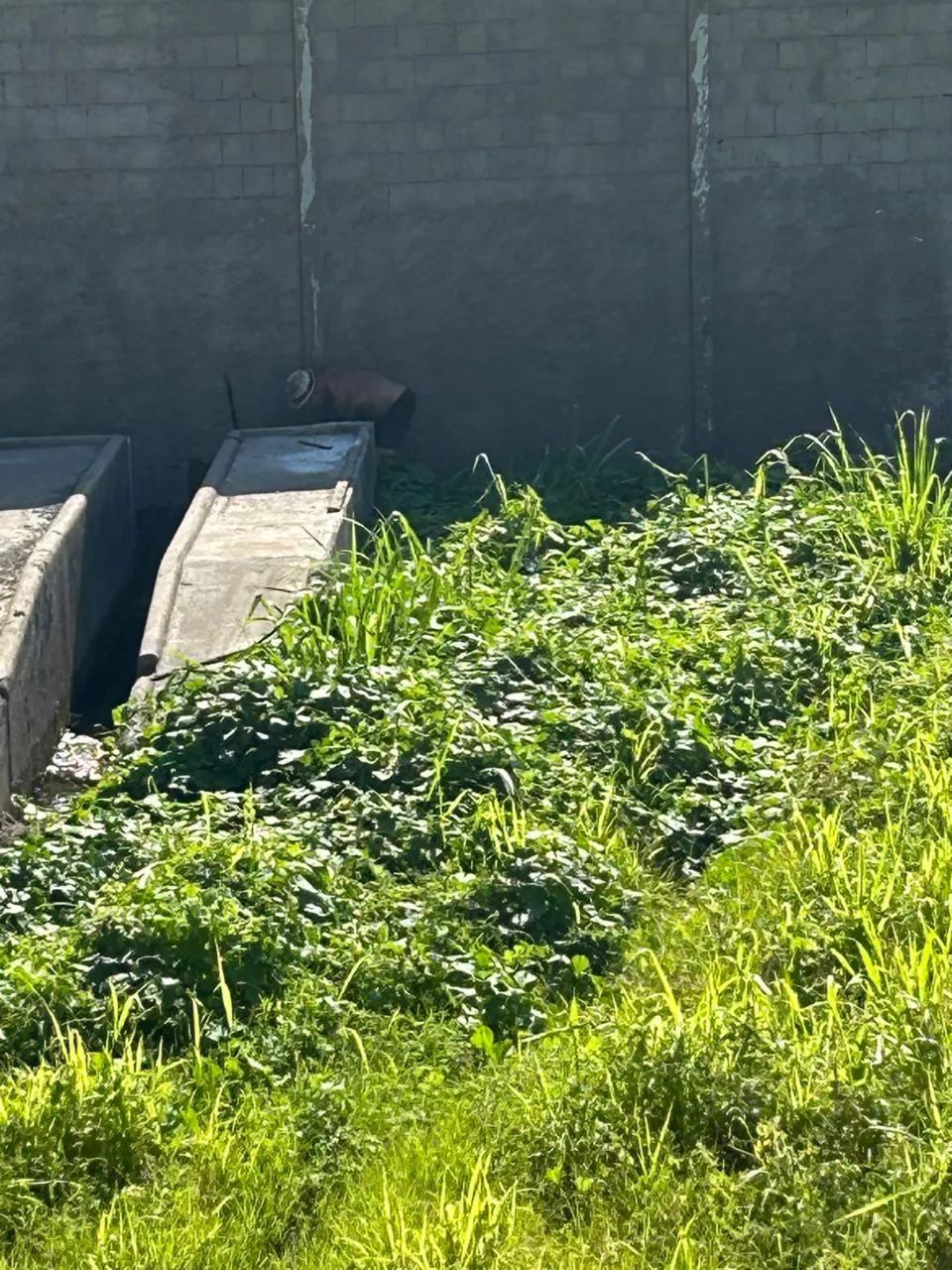 Terreno/cambona - Foto 11