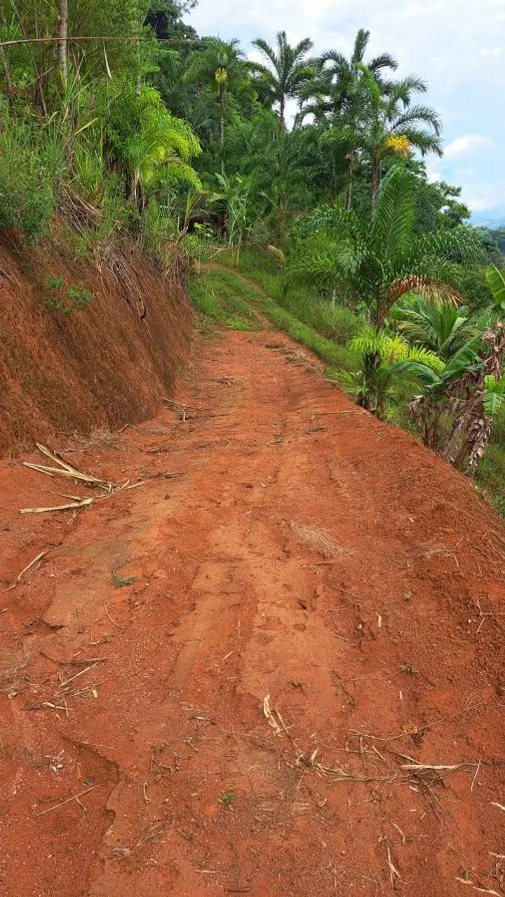 Sítio / Chácara para Venda em Domingos Martins, Isabel - Foto 5
