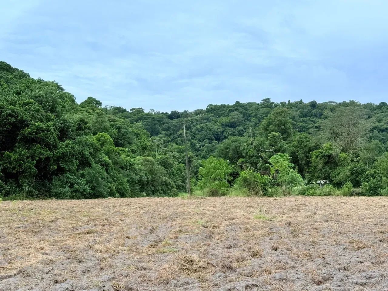 FAZENDINHA 300.000m² Guapimirim - Foto 5