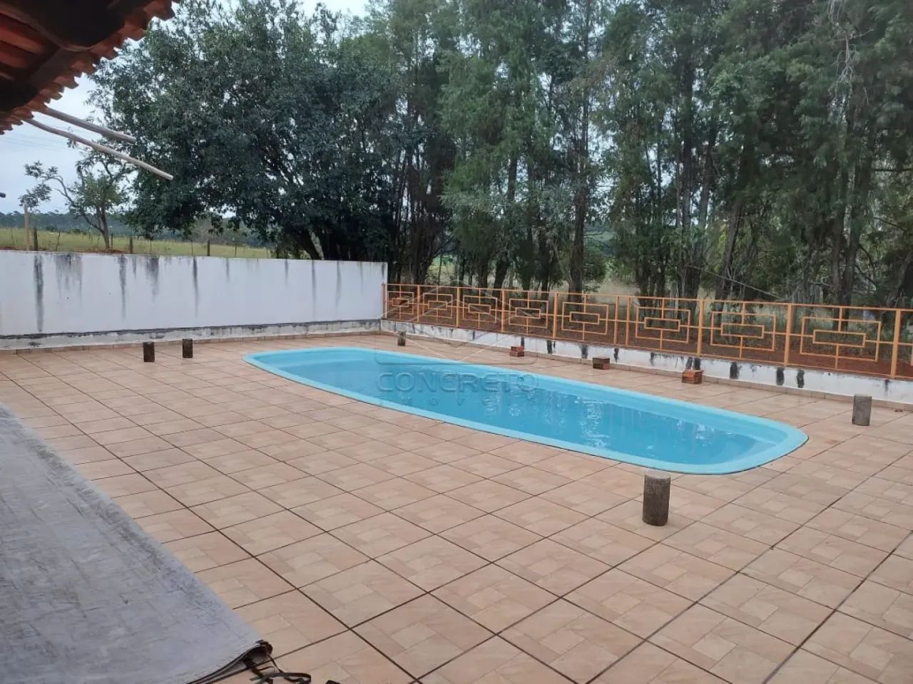 Rural ChácaraFazenda em Arealva