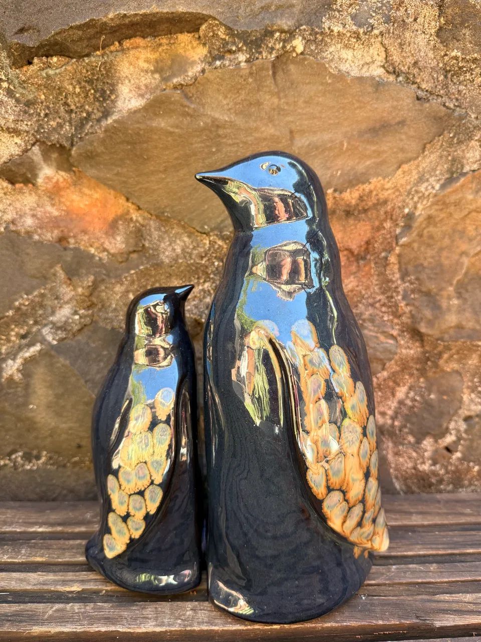 Par pinguim azul  - Foto 3