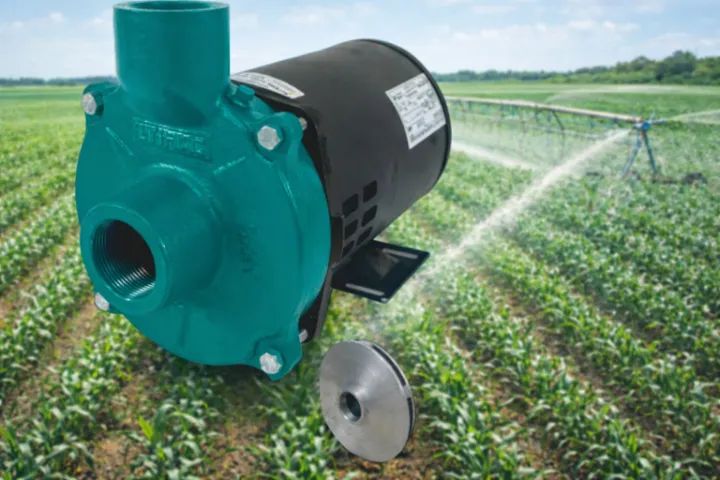 Bomba Irrigação 3 CV